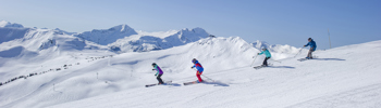 Winter Sports Cover