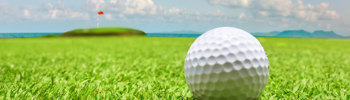 Golf Cover